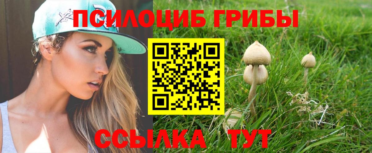 закладка  Галлюциногенные грибы Cubensis  Вход с VPN  Фурманов  Галлюциногенные грибы мицелий 