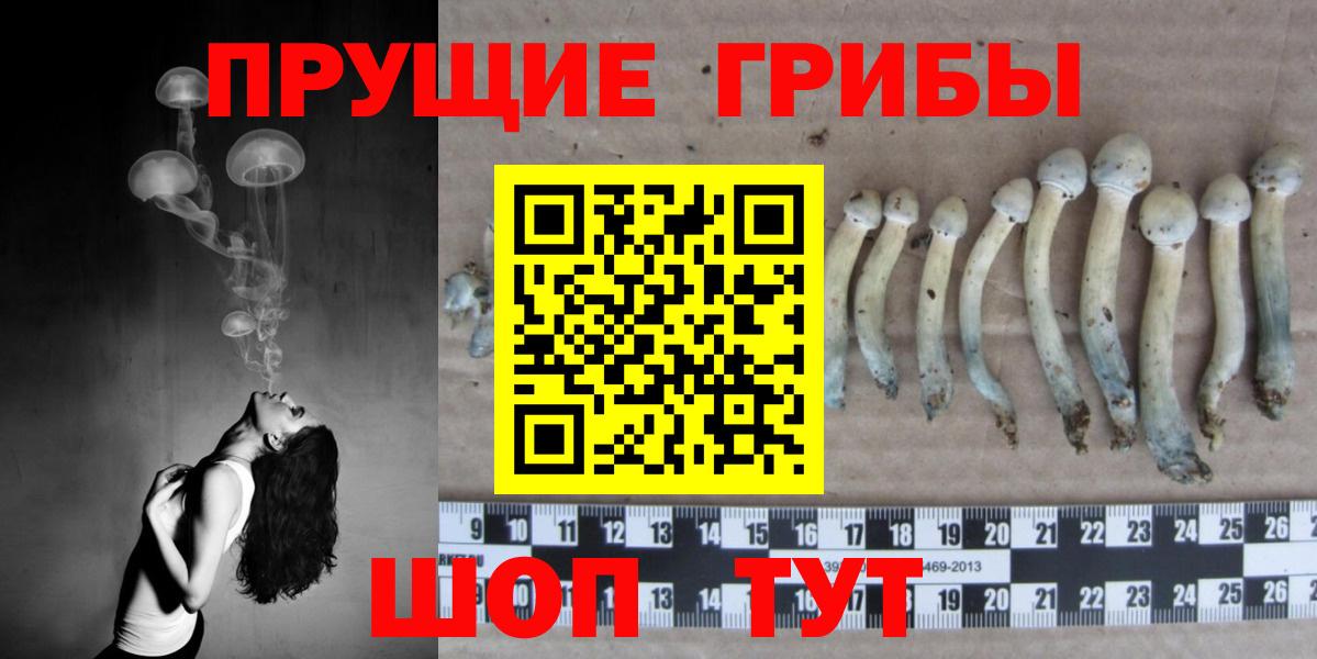 Галлюциногенные грибы мицелий Фурманов